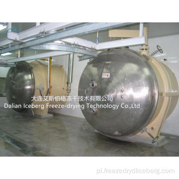 Hot Sale Freeze Dryer